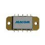 MAAP-010169 Amplifier
