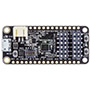 MAX32620FTHR# Development Platform